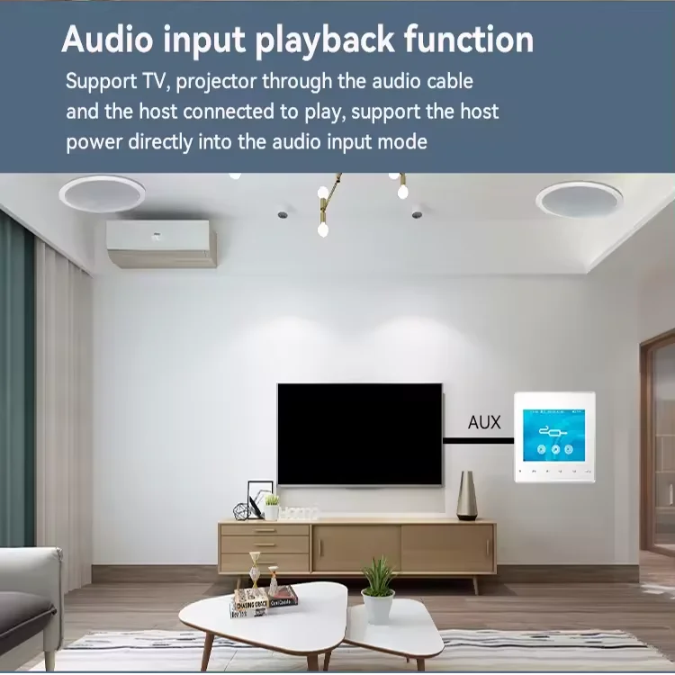 Ev Bluetooth Duvar Amplifikatö - Audio Music For Background incelemesi ve fiyatı
