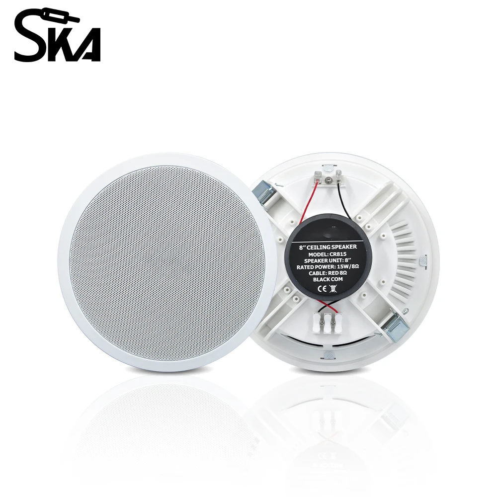 PW4420T+CR815 Akıllı Ev Ses Si - Audio Music For Background incelemesi ve fiyatı