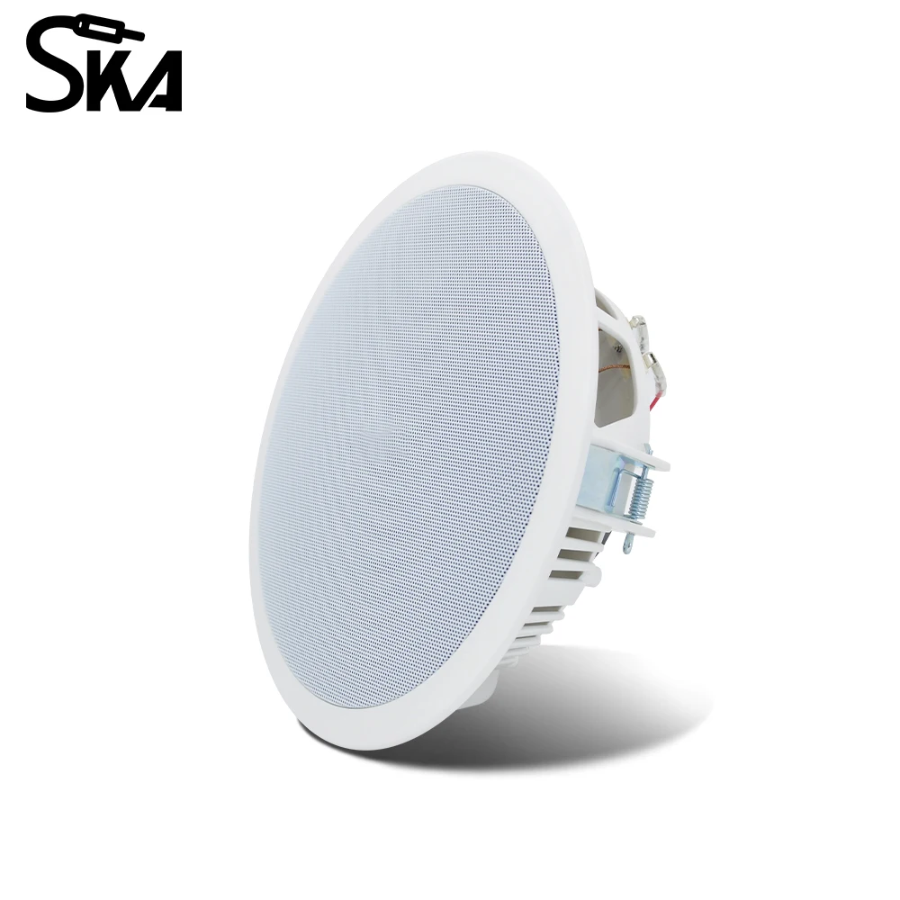 PW4420T+CR815 Akıllı Ev Ses Si - Audio Music For Background incelemesi ve fiyatı