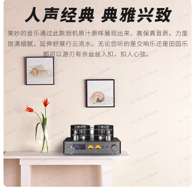 220V 400W * 2 Yüksek Kaliteli  - Audio Youtube Music Free incelemesi ve fiyatı