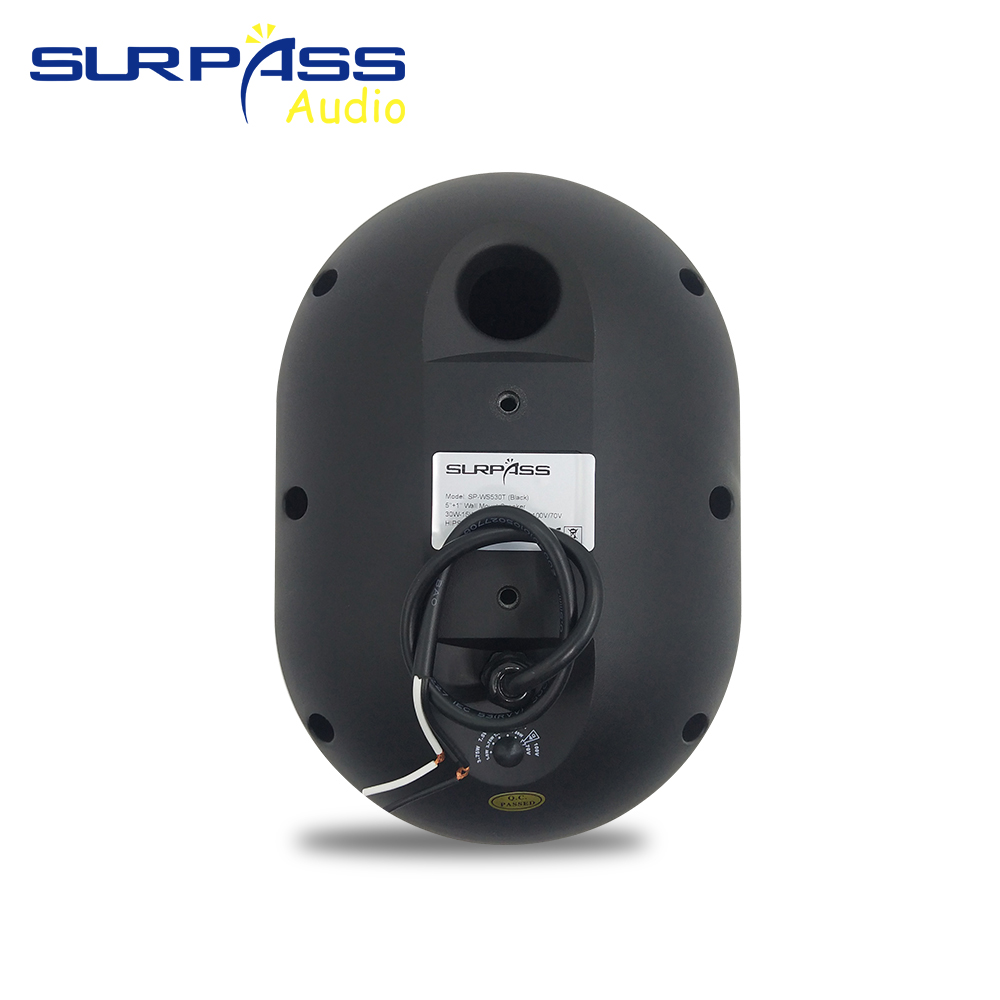 30W Duvara Monte Hoparlör Su G - Audio Music For Background incelemesi ve fiyatı